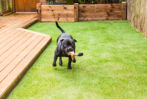Muddy Backyard Solutions to Consider