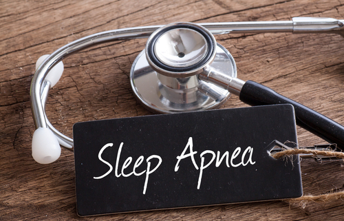 Sleep Apnea in Dogs 