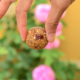 Tuesday’s Treat Peanut Butter Sweet Potato Bites