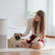 Air Purifiers & Pets 