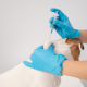 Dog Vaccinations – Why Are They Important 