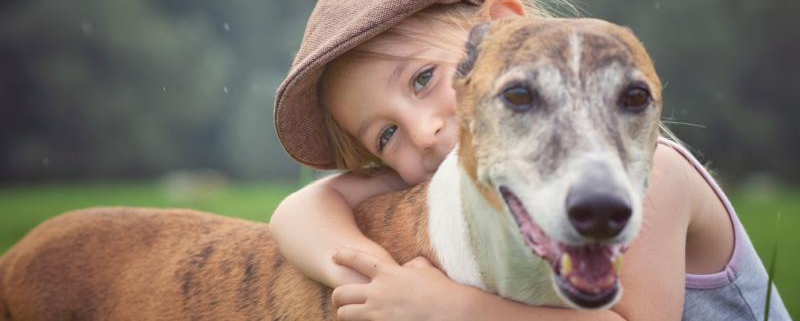 Top Dog Breeds Who Love to Cuddle 