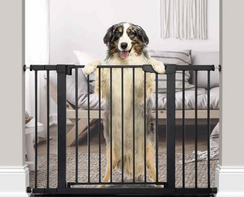 Dogs & Baby Gates