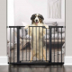 Dogs & Baby Gates