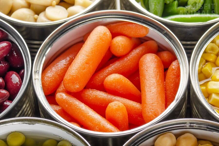 Dogs Canned Vegetables Hot Dog On A Leash