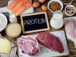 Dogs & Protein Deficiencies  