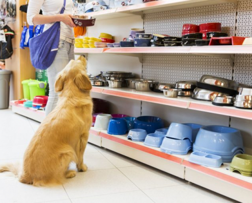 Benefits of Shopping Local Pet Stores vs. Big Box Chains