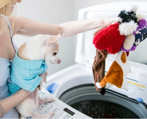 How to Wash Dog Toys Safely