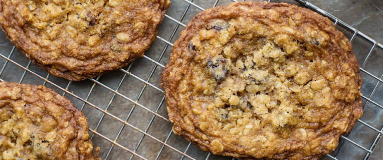 Tuesday’s Treat Peanut Butter Oatmeal Bites