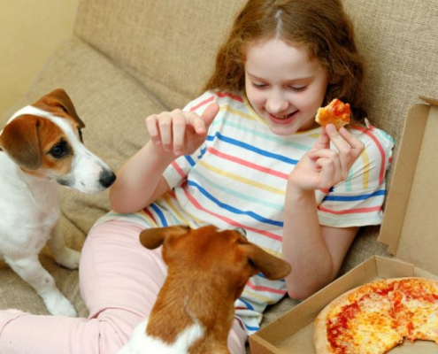 Tips on How to Get Your Dog to Behave Around Guests 