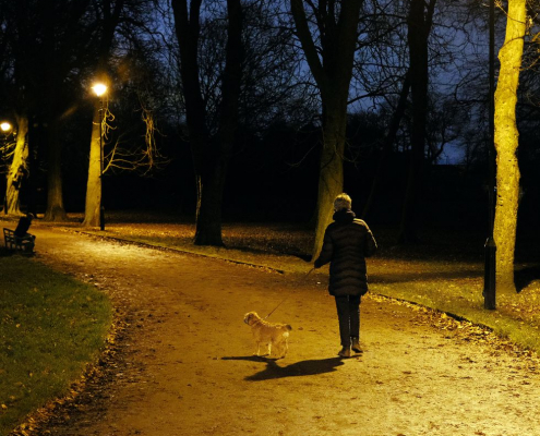 Tips on How to Have Outdoor Fun with Your Dog at Night 