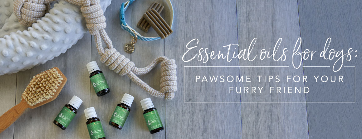 essential oils for hyper dogs