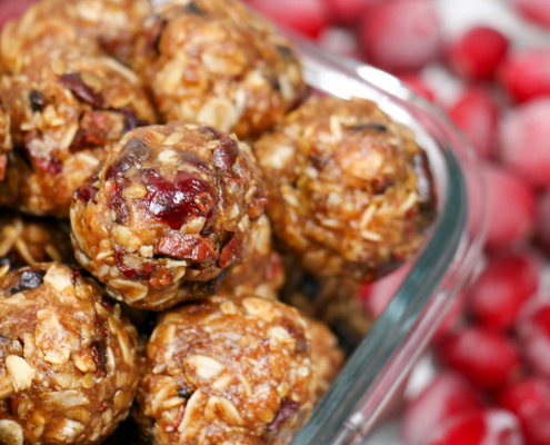 Tuesday’s Treat Cranberry, Honey, and Oat Bites (Holiday Edition)