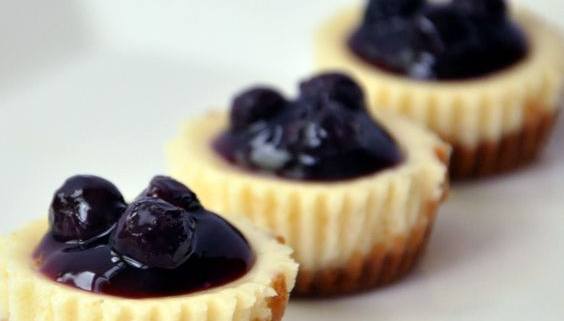 Tuesday’s Treat Mini Blueberry Cheesecake Bites 