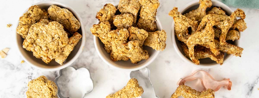 Tuesday’s Treat Oatmeal Chicken Treats