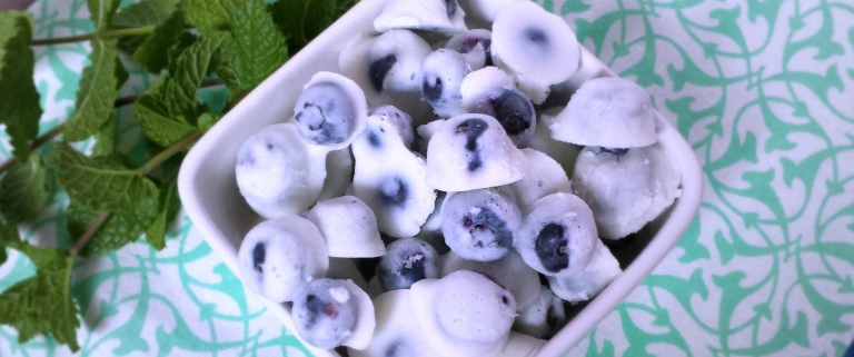 Tuesday’s Treat Frozen Blueberry Bites