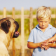 Dogs and Child Aggression Addressing Safety Concerns