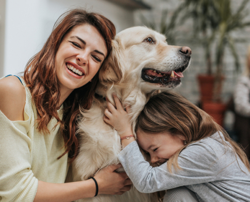 Qualities of a Good Dog Parent