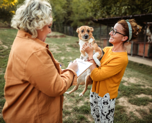 The Heartwarming Decision Adopting a Stray Dog