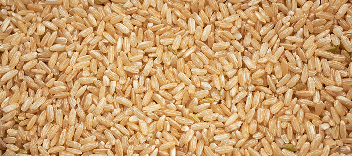 The Benefits of Brown Rice for Dogs