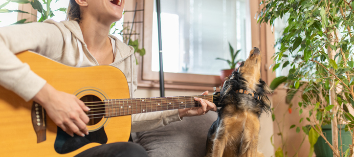 Musical Dog Names: Harmony for Your Furry Friend