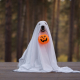 Pawsitively Spooktacular: Fun Halloween Costume Ideas for Your Four-Legged Friend