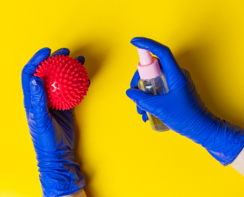 The Crucial Role of Disinfecting Dog Toys in Your Pet's Health