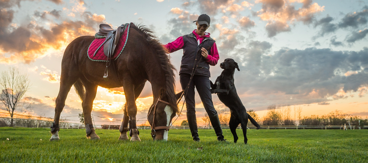 Dogs and Life on the Farm: Inseparable Companions