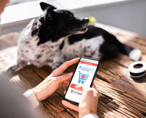 Dogs and Online Pharmacies: Navigating the World of Pet Medications