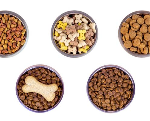 Bargain Bites: The Hidden Dangers of Cheap Dog Food