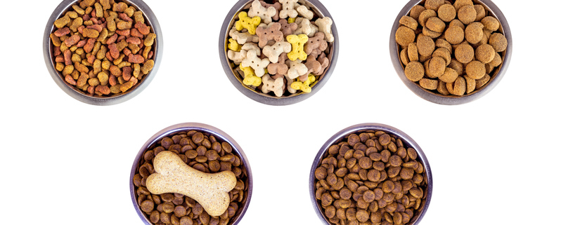 Bargain Bites: The Hidden Dangers of Cheap Dog Food