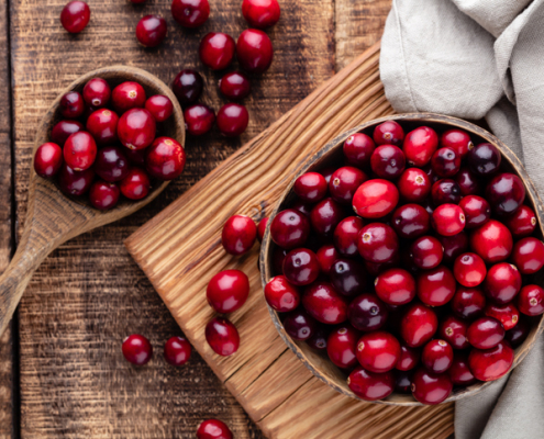 A Paw-sitively Delicious Christmas Snack for Dogs: Cranberry Dog Treats