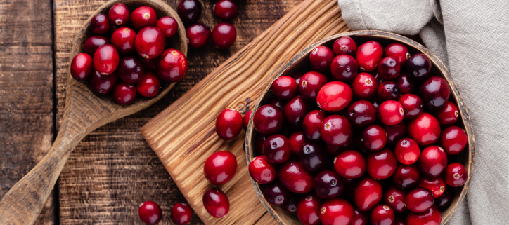 A Paw-sitively Delicious Christmas Snack for Dogs: Cranberry Dog Treats