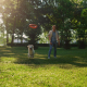 Fetch Fun: The Benefits of Playing Fetch with Your Canine Companion