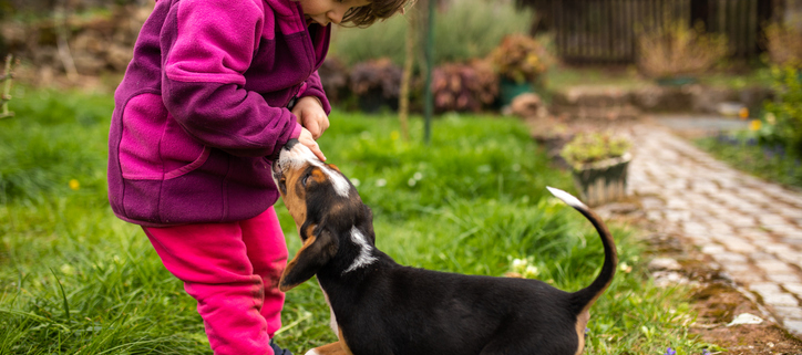 Understanding Dog Nipping: A Guide to Promoting Safe Interactions with Children