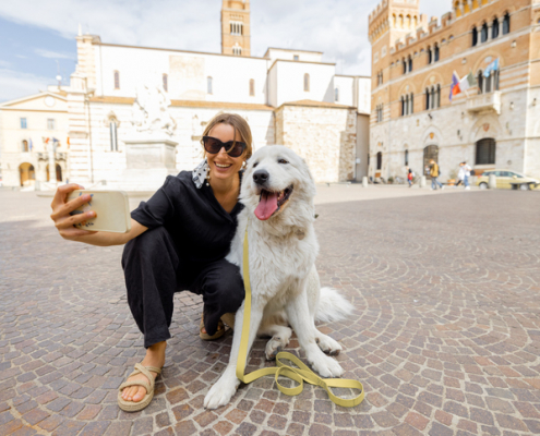 Dog-Friendly Travel Destinations for Your Next Vacation