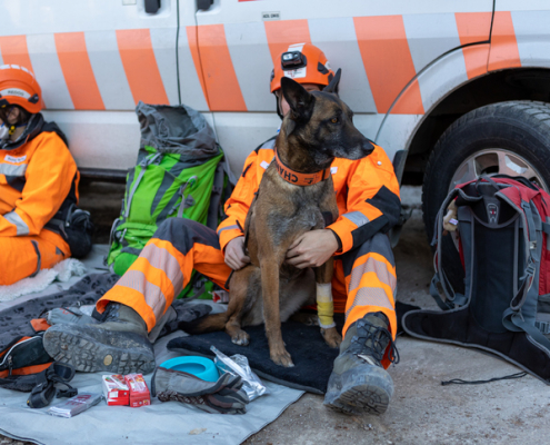 The Role of Dogs in Search and Rescue Operations