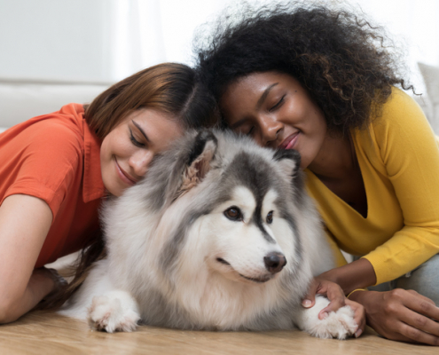 The Wonderful World of Canine Personalities: Embracing Diversity Among Dogs