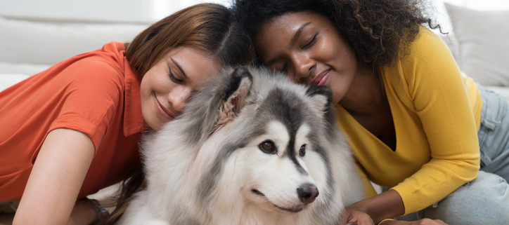 The Wonderful World of Canine Personalities: Embracing Diversity Among Dogs