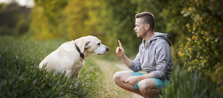 The Virtue of Patience: A Must for Every Dog Owner