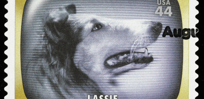 Lassie: A Timeless Tale of Loyalty and Heroism