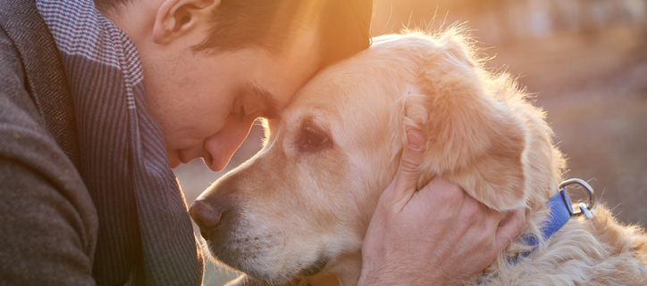 Making the Difficult Decision: When It's Time to Say Goodbye to Your Beloved Dog