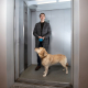 Navigating Elevator Safety: Preventing Leash Mishaps for Dogs