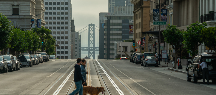 Navigating Urban Life with a Canine Companion: Challenges of Owning a Dog in a Big City