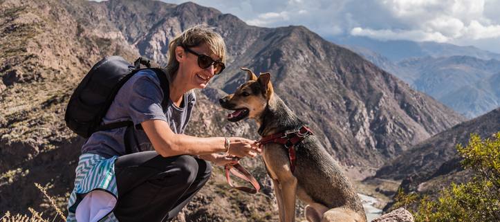 Lost and Found: Navigating the Wilderness with Your Canine Companion