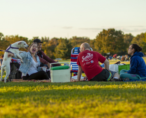 From Tailgating to Touchdowns: Dogs at Sporting Events Bring Joy and Community Spirit