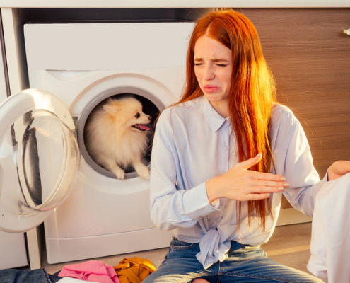 Understanding and Addressing Why Dogs Urinate on Owner's Clothes