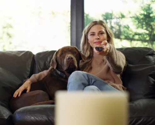 The Canine Couch Potato: Why Dogs Love Watching Other Dogs on TV