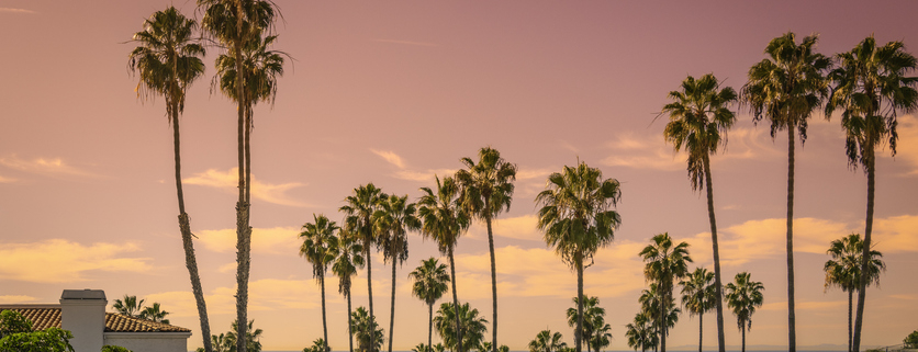 Pawsitively Californian: A Guide to Helping Your Dog Thrive in the Golden State
