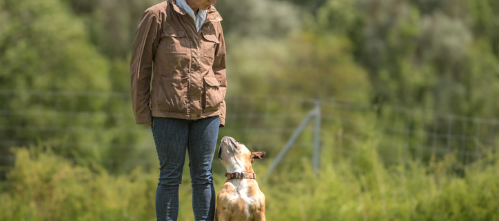 Pawsitively Perfect Partnerships: The Importance of a Dog Trainer Who Communicates Well